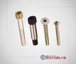 Tapón Plug NPT